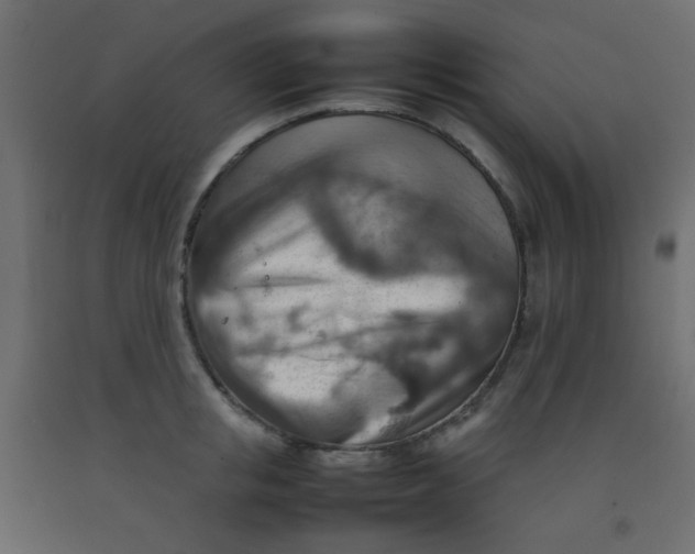 X0000092070853200710101017