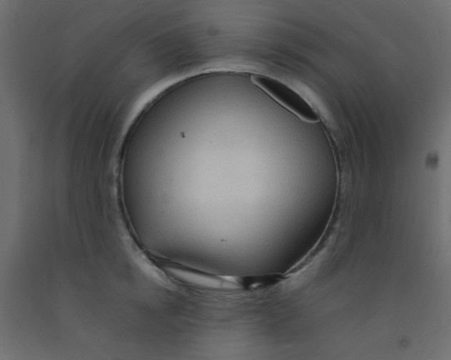 X0000092070854200710101017