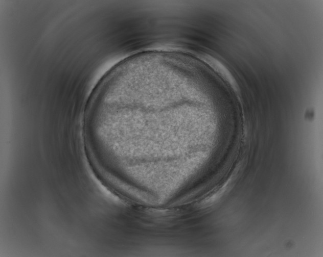 X0000092070855200710101017