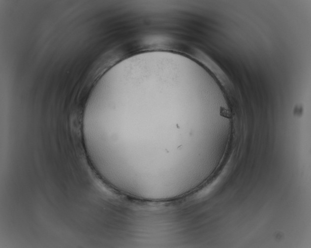 X0000092070857200710101017