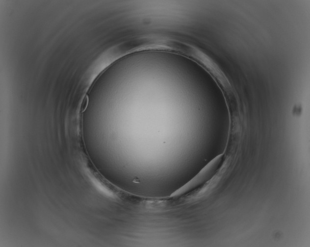 X0000092070858200710101017