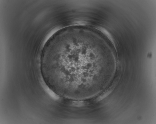 X0000092070859200710101017