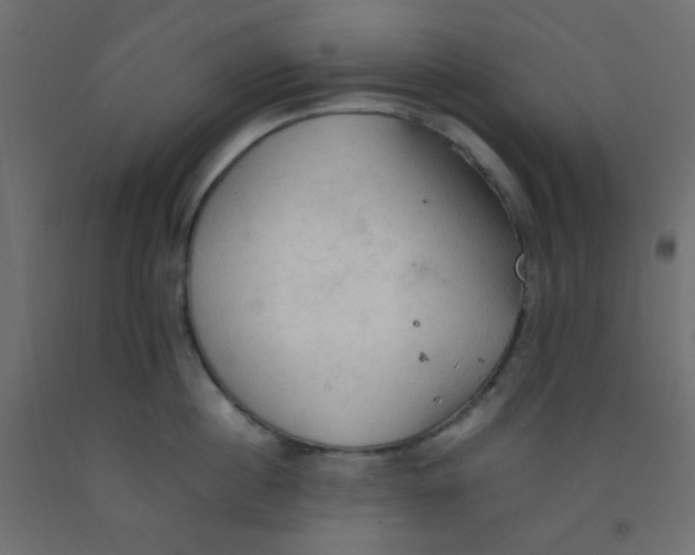 X0000092070860200710101017