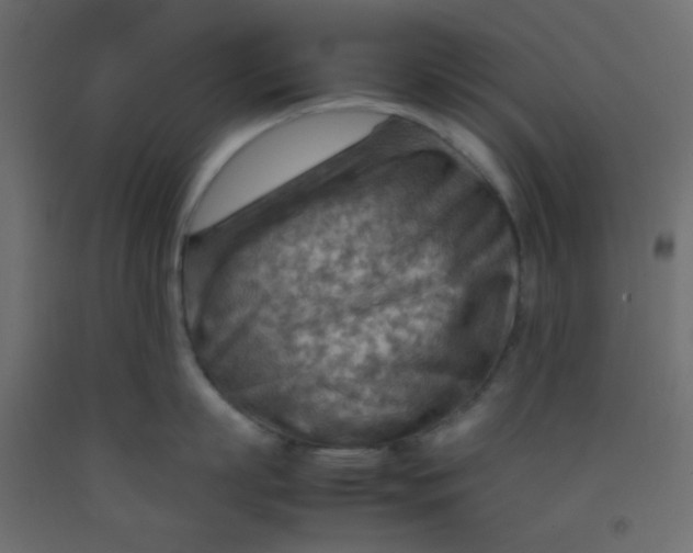 X0000092070863200710101017