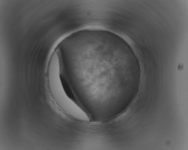 X0000092070864200710101017