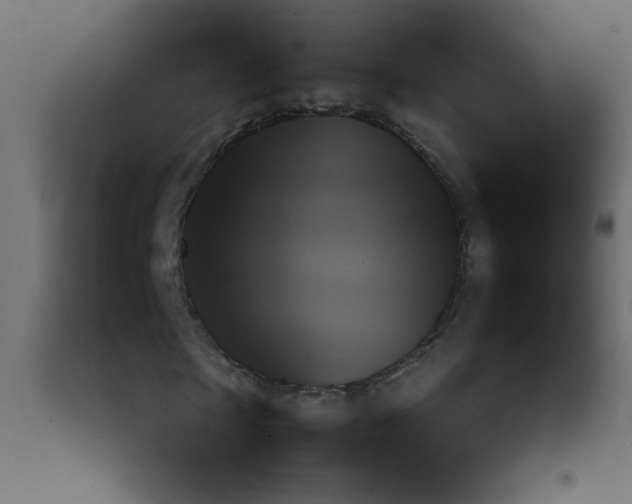 X0000092070865200710101016