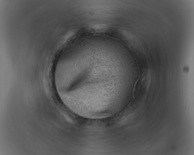X0000092070866200710101016
