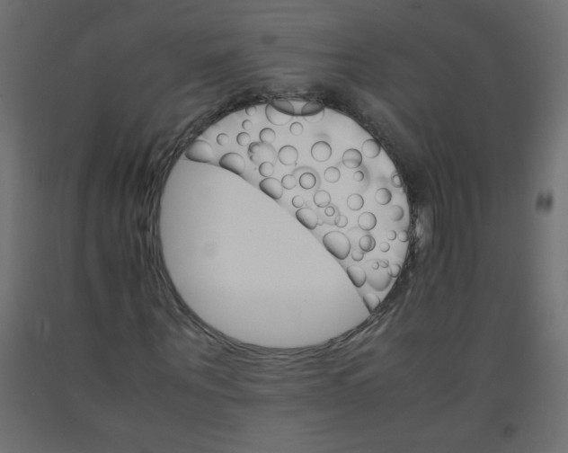 X0000092070867200710101016