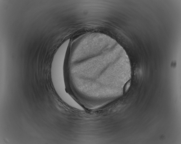 X0000092070868200710101016