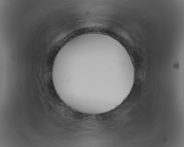 X0000092070869200710101016