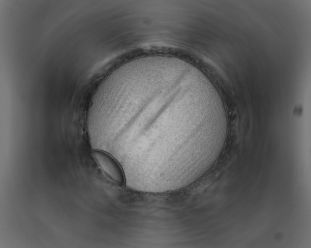 X0000092070870200710101016
