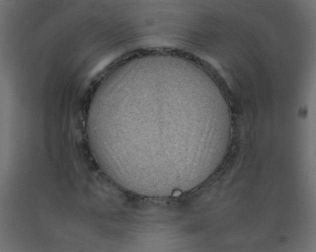 X0000092070871200710101016