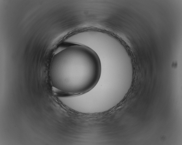 X0000092070872200710101016