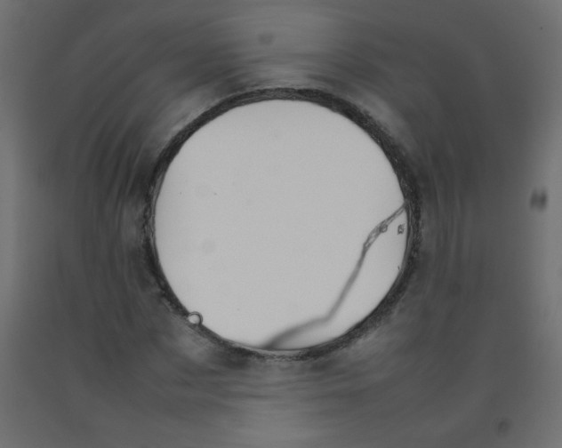 X0000092070873200710101016