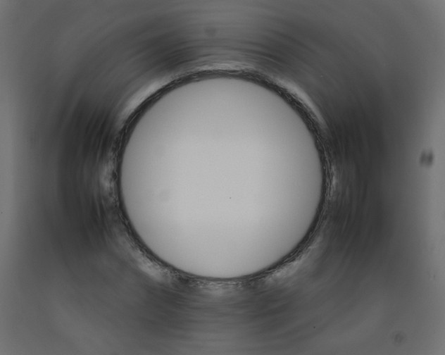 X0000092070874200710101016