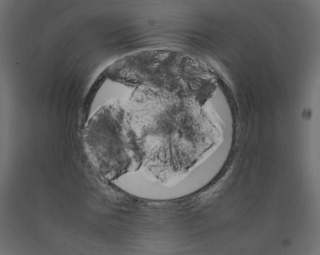 X0000092070875200710101016