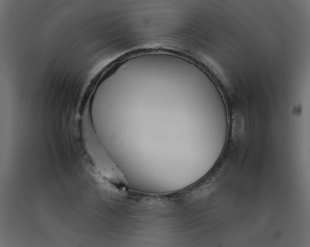 X0000092070876200710101016