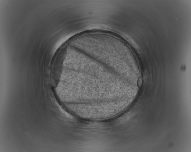 X0000092070877200710101016