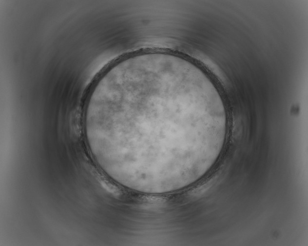 X0000092070878200710101016
