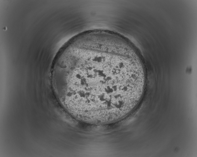 X0000092070879200710101016