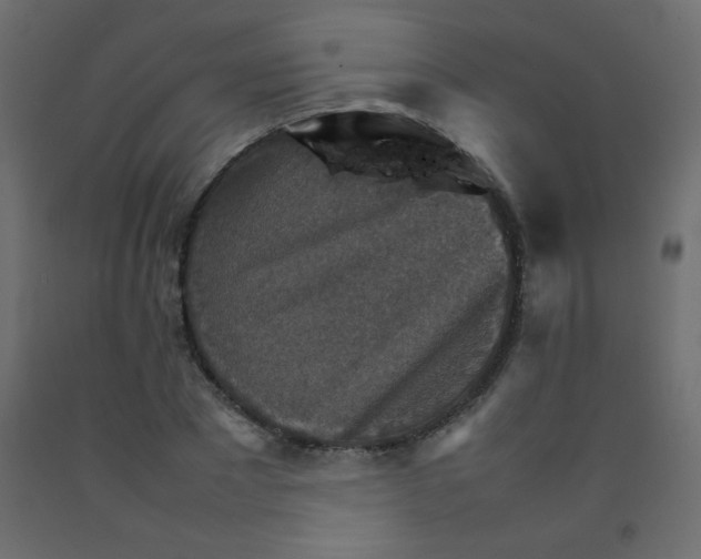 X0000092070881200710101016