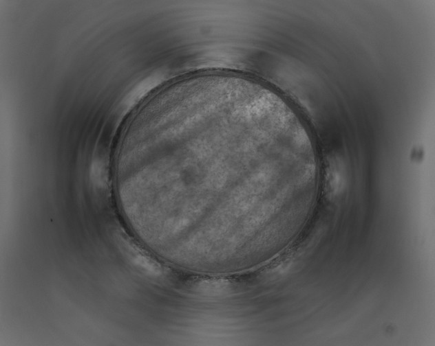 X0000092070882200710101016