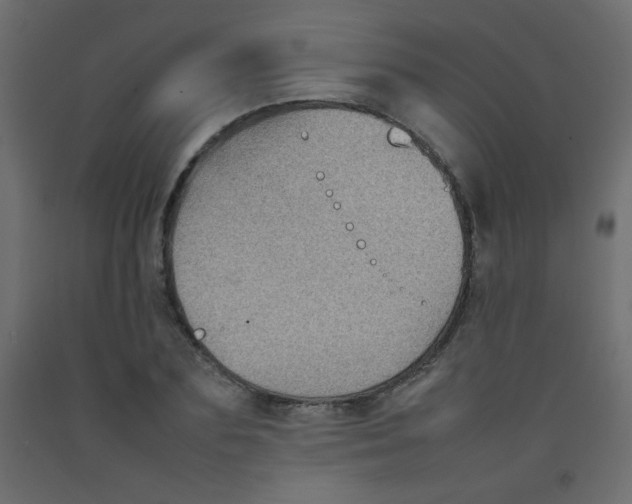 X0000092070883200710101016
