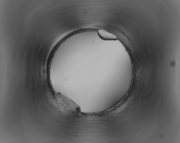 X0000092070884200710101016