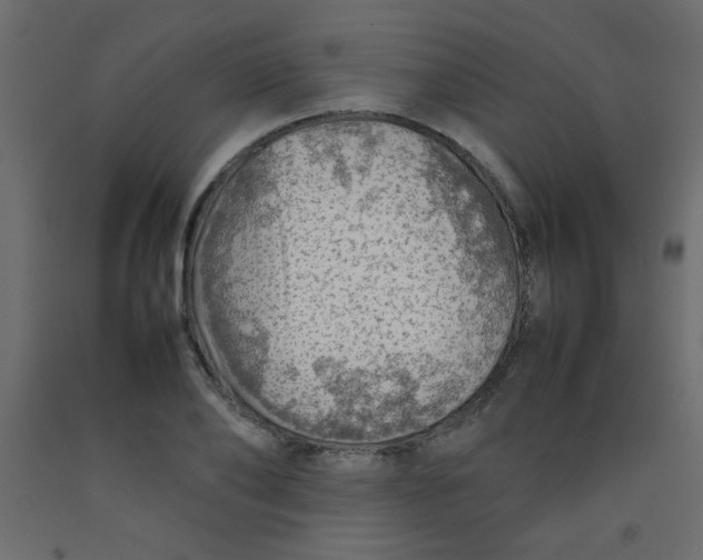 X0000092070886200710101016