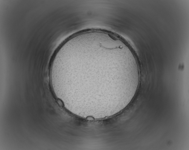 X0000092070887200710101016