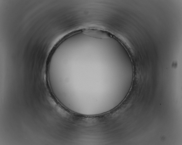 X0000092070888200710101016