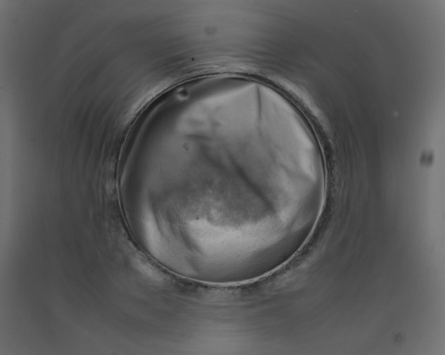 X0000092070889200710101016