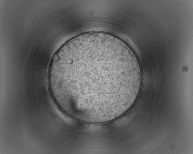 X0000092070890200710101016