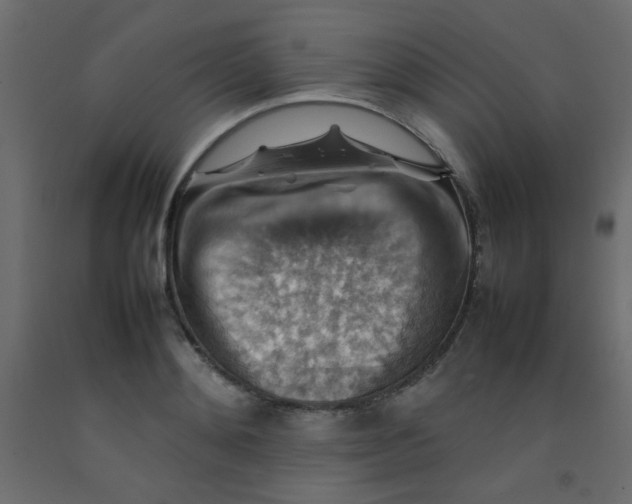 X0000092070892200710101016