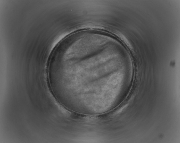 X0000092070893200710101016