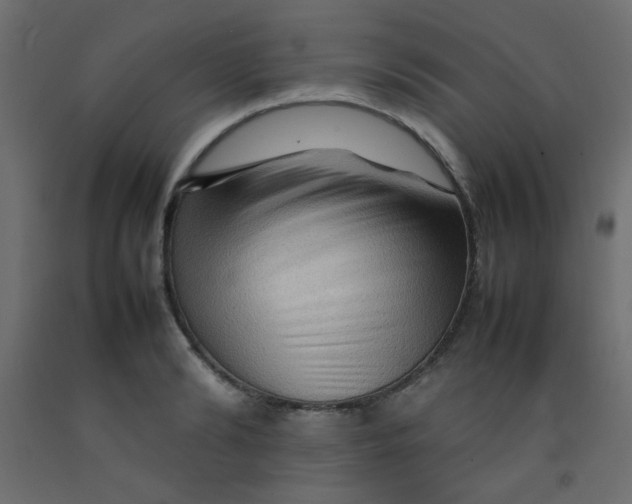 X0000092070894200710101016