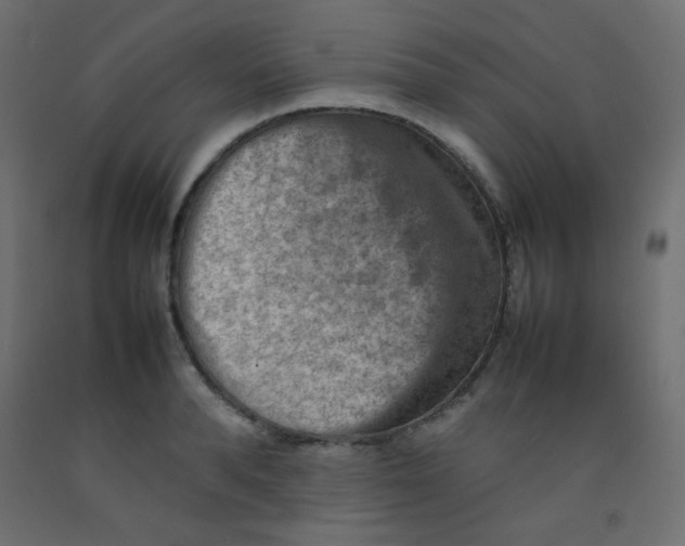 X0000092070896200710101016