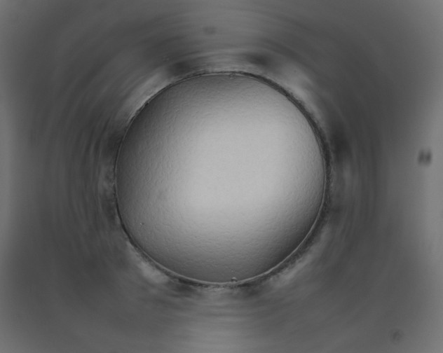 X0000092070897200710101016