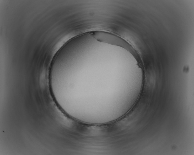 X0000092070898200710101016