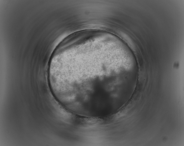 X0000092070899200710101016