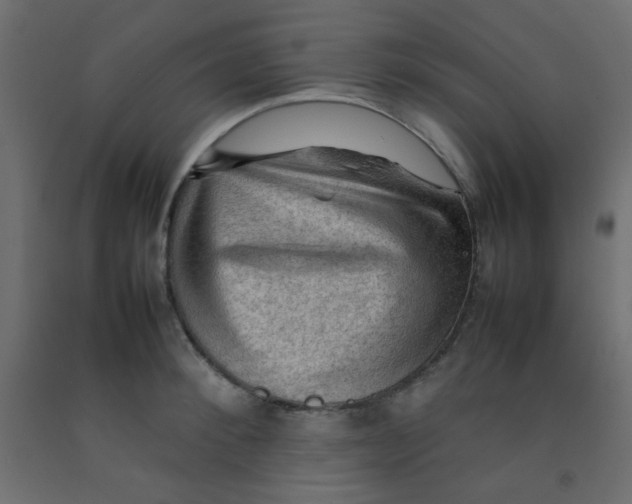X0000092070900200710101016