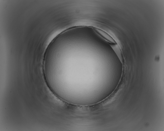 X0000092070901200710101016