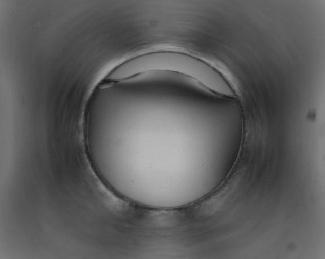 X0000092070902200710101016