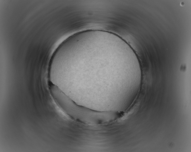 X0000092070904200710101016