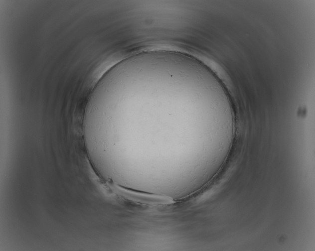 X0000092070905200710101016