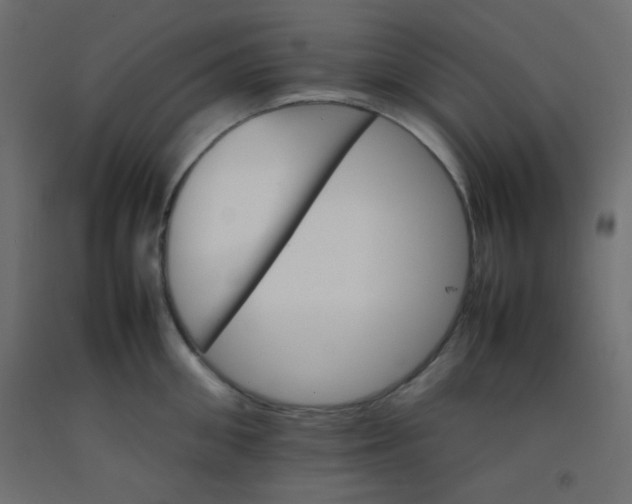 X0000092070906200710101016