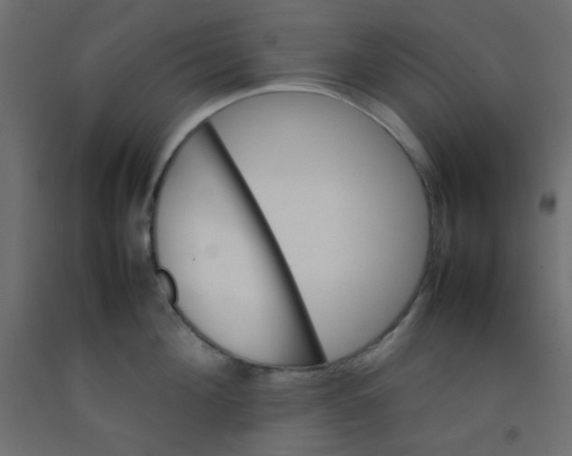 X0000092070908200710101016
