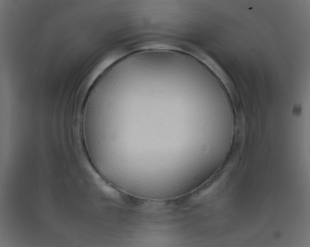 X0000092070909200710101016