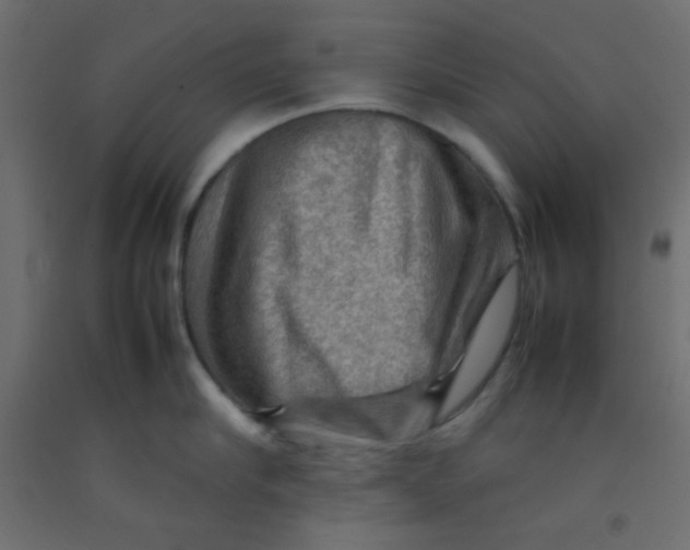 X0000092070910200710101016