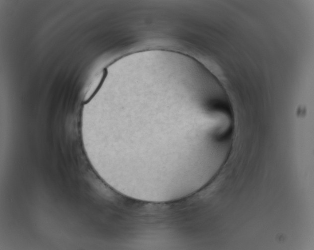 X0000092070912200710101016
